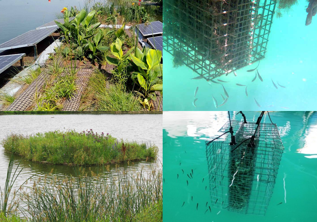 Nature integration for floating solar parks | Solinoor Innovative Energy Solutions