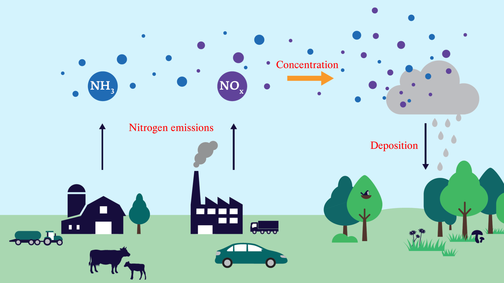 Nitrogen emissions infographic
